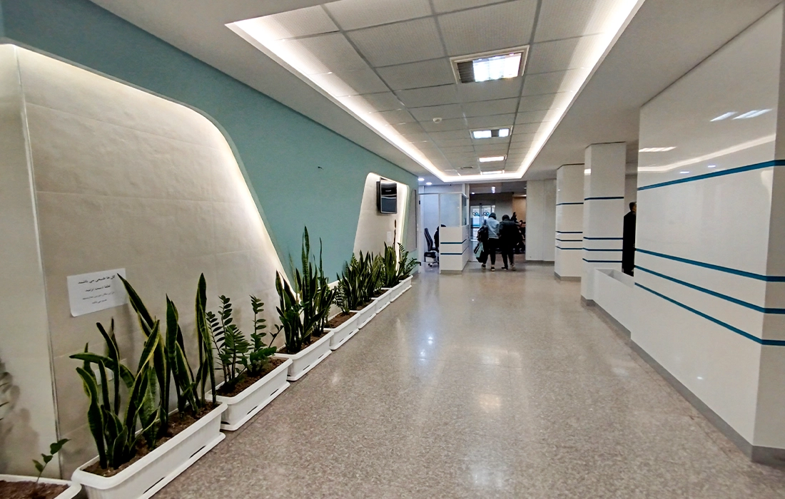 Radiotherapy (Radiation Therapy)